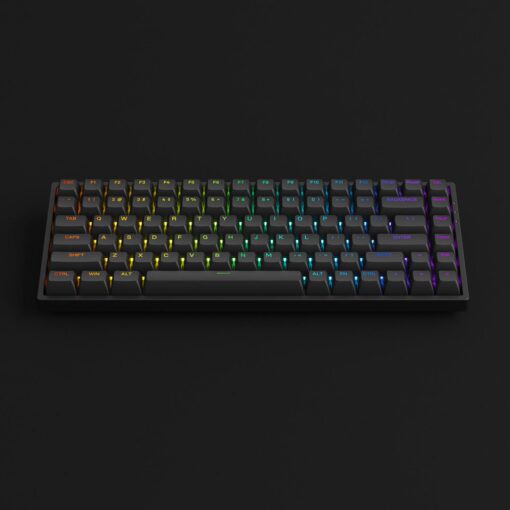 Bàn Phím Cơ AKKO 3084 v2 RGB (Foam tiêu âm / Hotswap / AKKO CS Jelly switch)