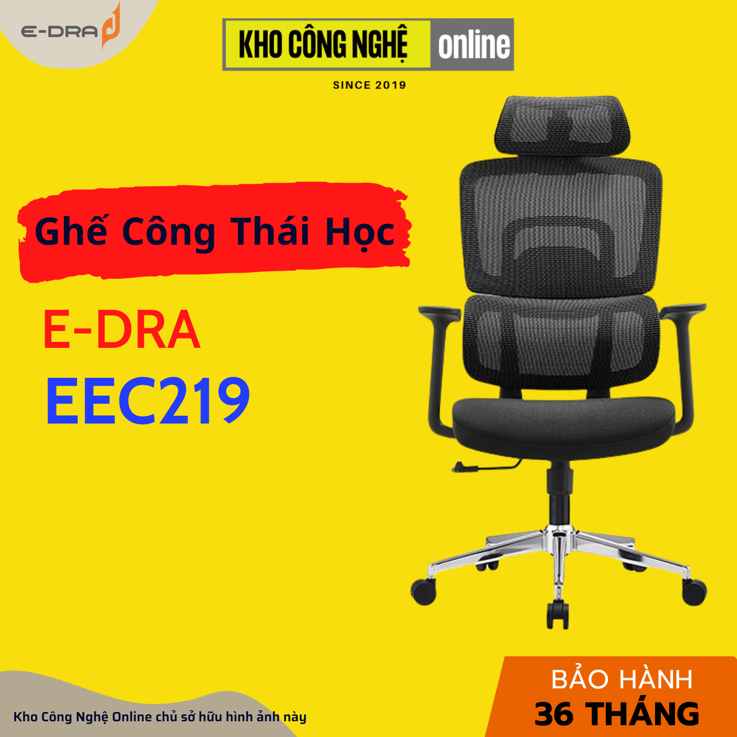 Ghế công thái học E-DRA EEC219