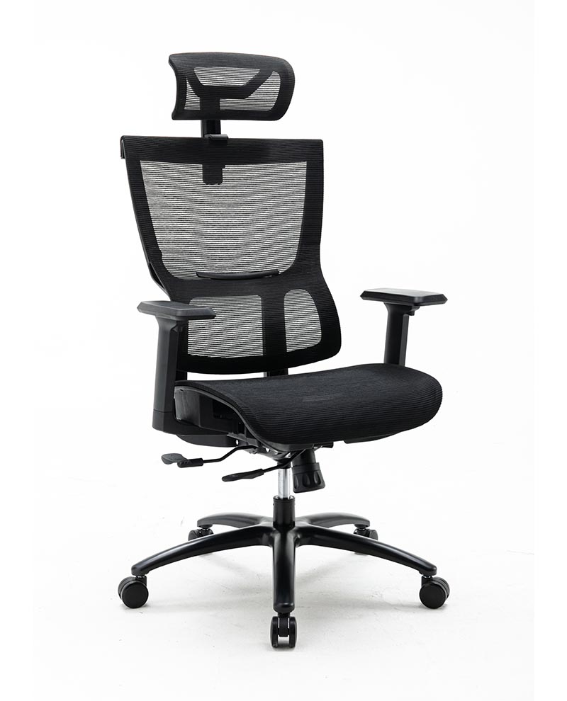 Ghế công thái học ergonomic WARRIOR - WEC502 / WEC502 Plus Black / WEC506 / WEC509