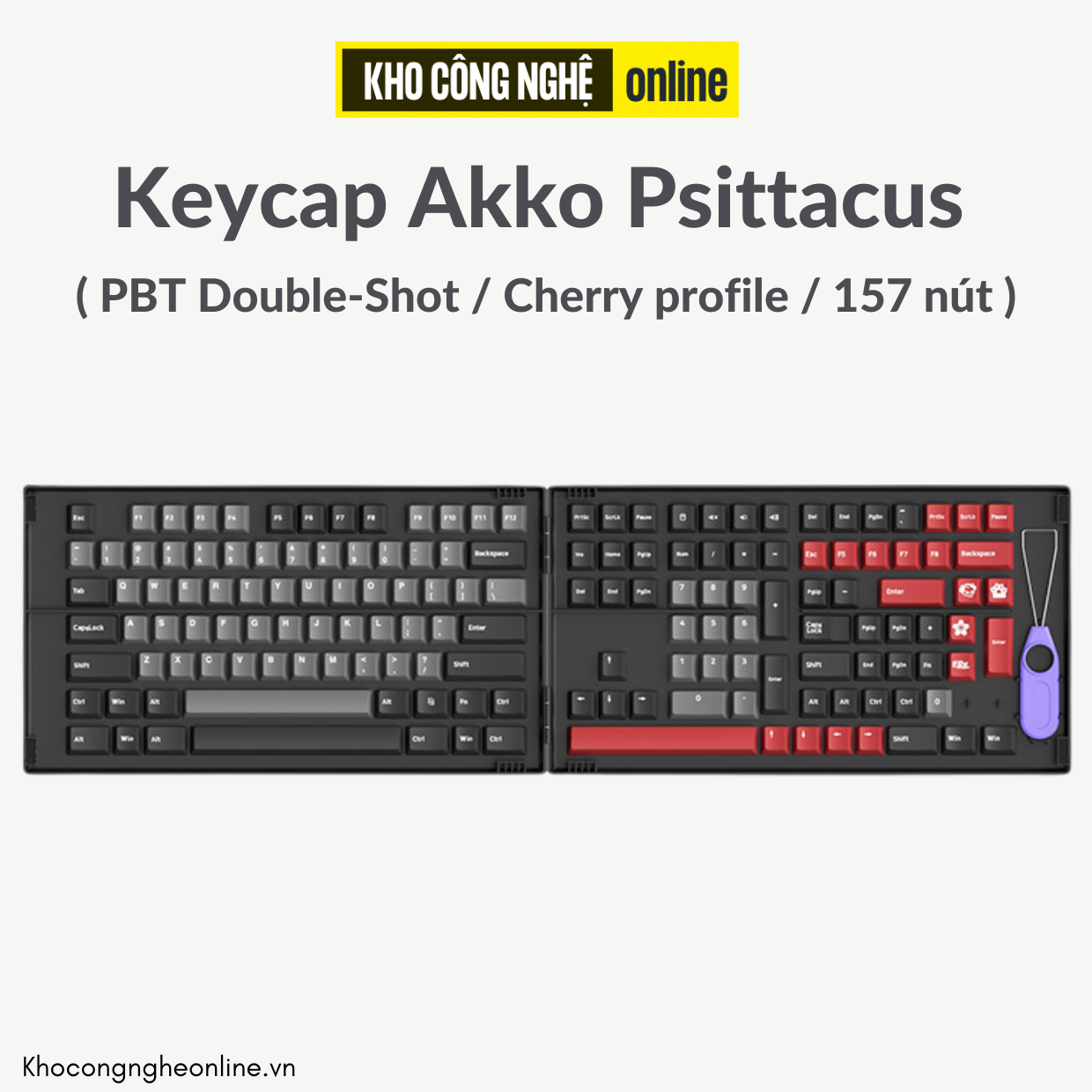 Bộ Keycap Akko Psittacus (PBT Double-Shot/Cherry profile/157 nút)