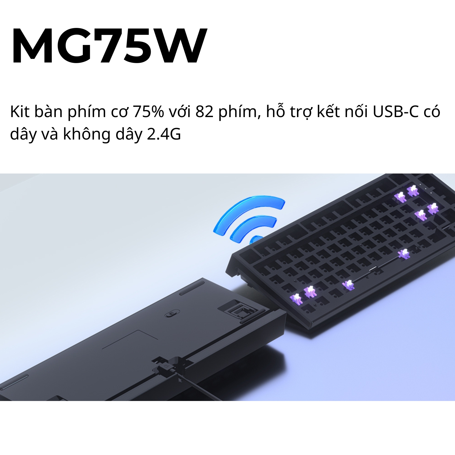 Kit bàn phím cơ MonsGeek MG75W (Dual Mode / Hotswap 5 pin)