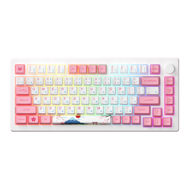 Bàn phím AKKO MOD007B-HE PC Santorini (Rapid Trigger / 8K Polling Rate / Magnetic Switch)
