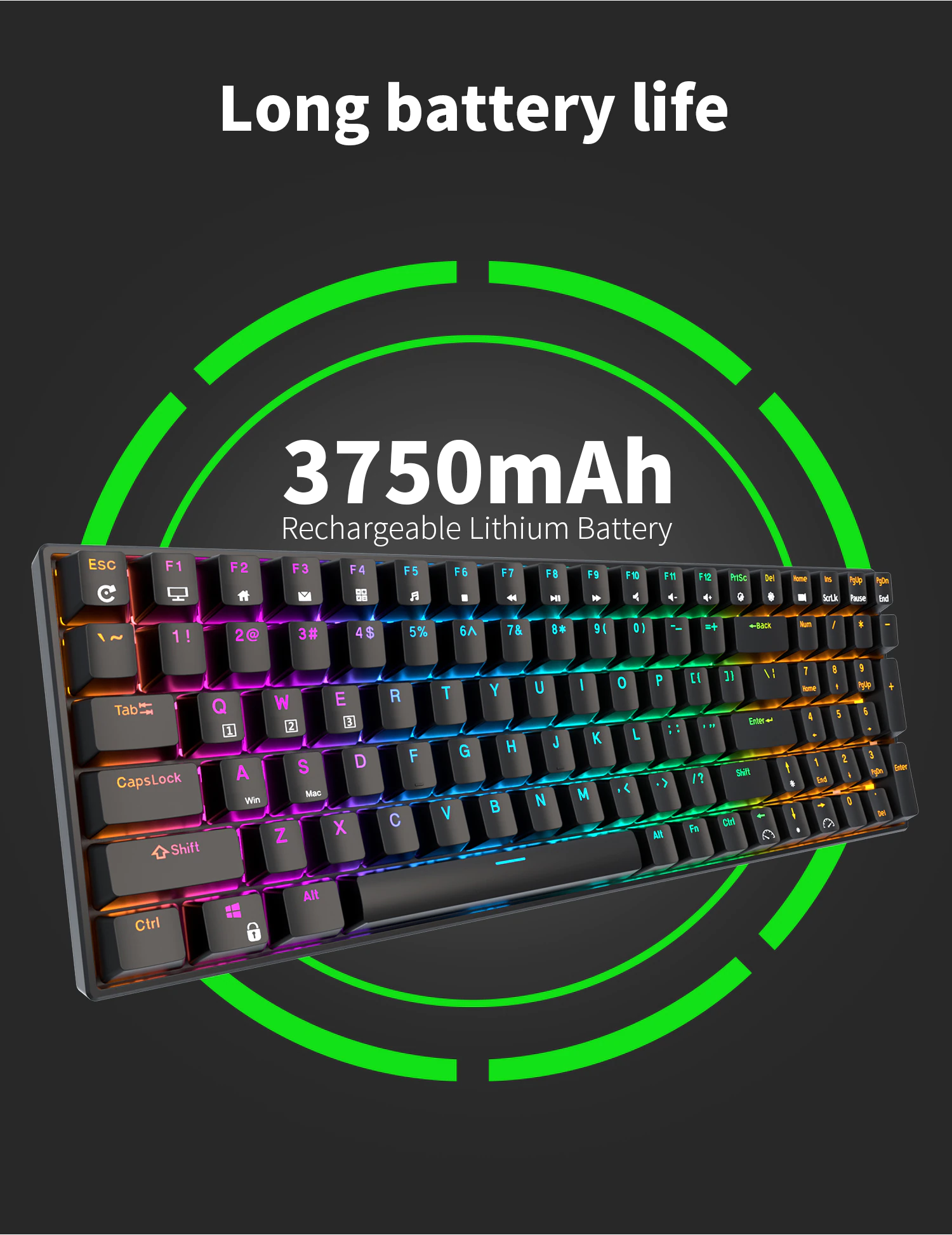 Bàn phím cơ Royal Kludge RK100 RGB Có 3 chế độ kết nối Bluetooth 5.0/ Wireless / Type C