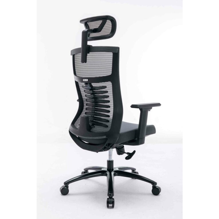 Ghế công thái học ergonomic WARRIOR - WEC502 / WEC502 Plus Black / WEC506 / WEC509