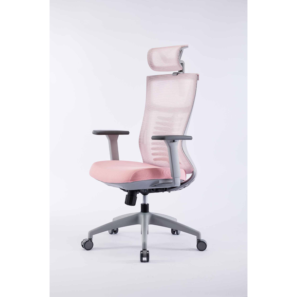 Ghế công thái học ergonomic WARRIOR - WEC502 / WEC502 Plus Black / WEC506 / WEC509