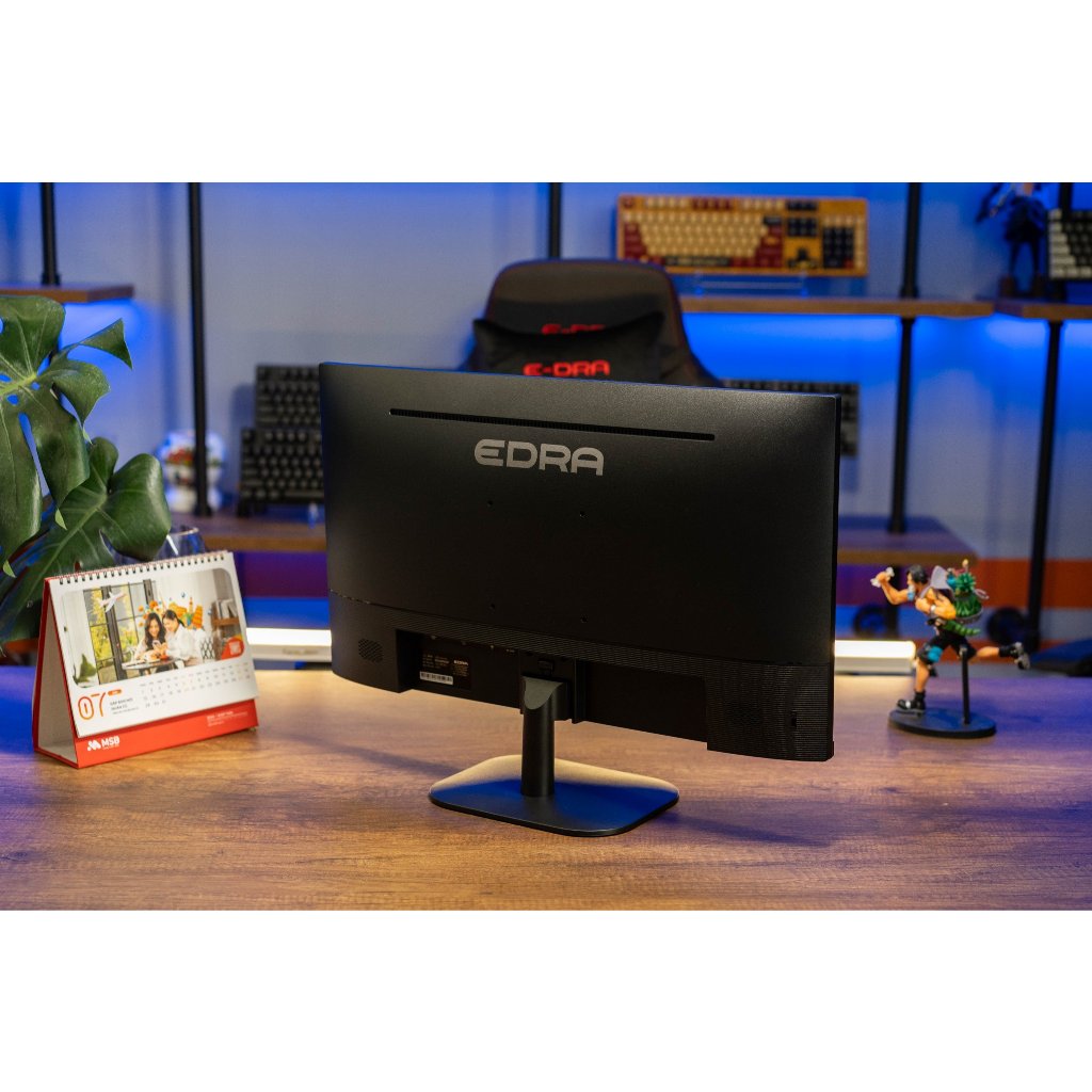 Màn hình Gaming E-DRA EGM25F100P 25 inch FullHD 100hz