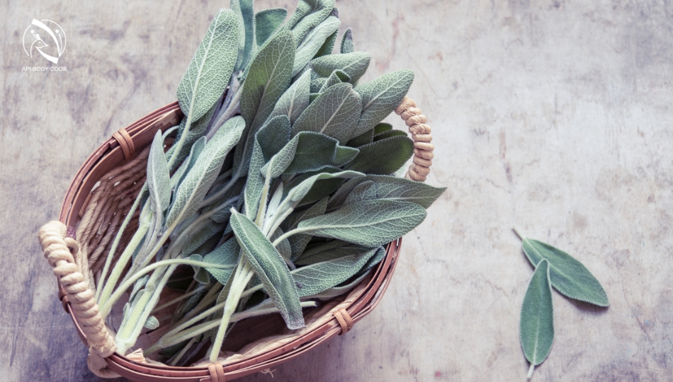What is sage?