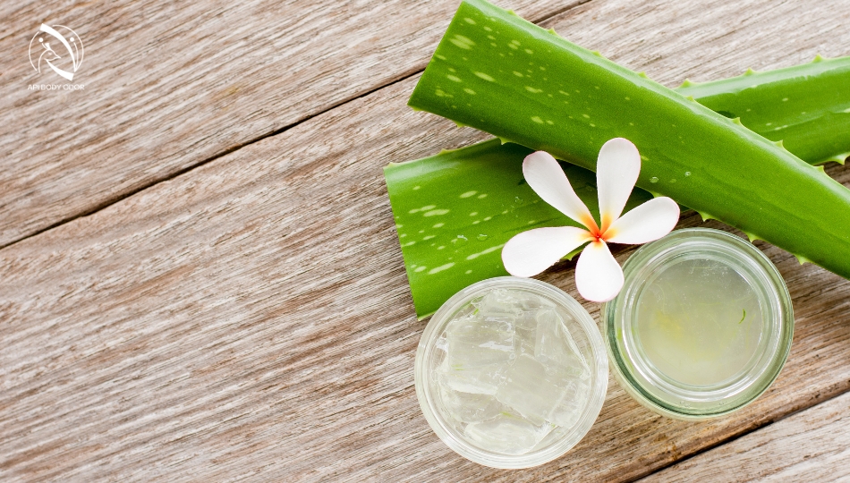 The effect of aloe vera (aloe vera) in eliminating underarm odor
