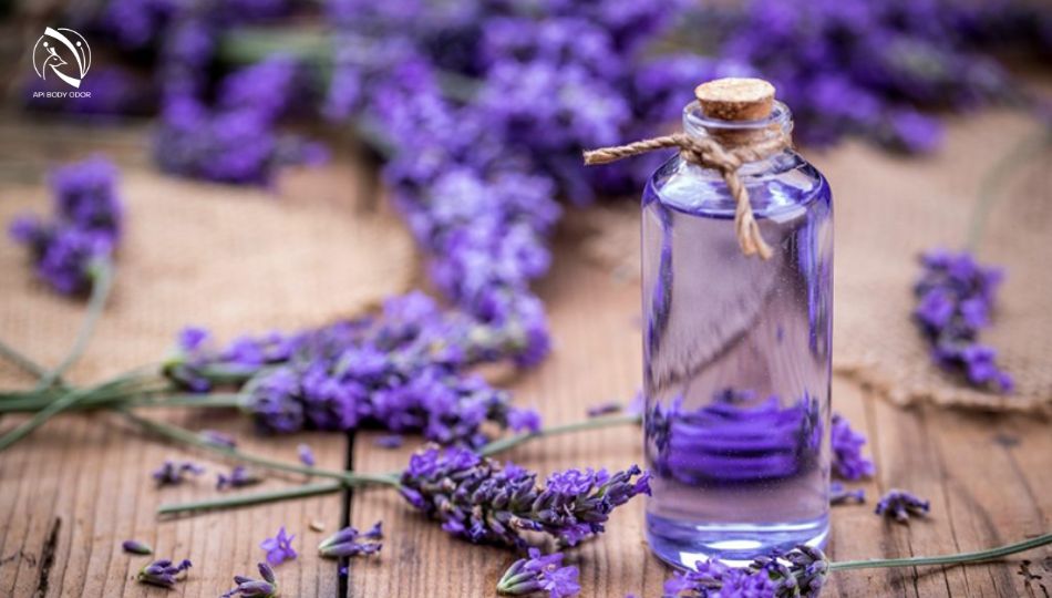 Tinh dầu oải hương khử mùi hôi nách