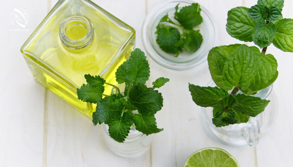 Treat underarm odor by bathing in mint leaves