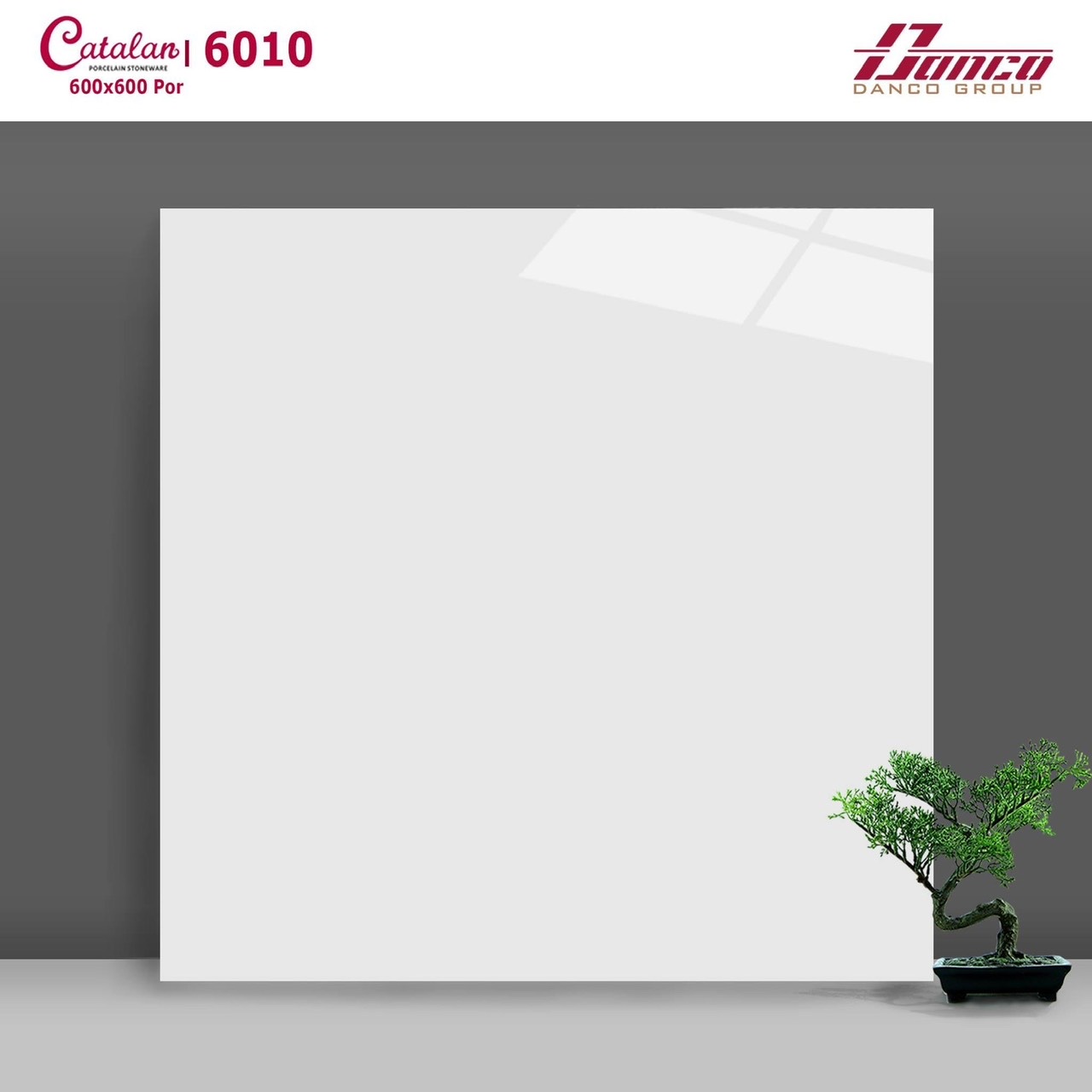 Gạch lát nền 60x60 CTL-DBK6010