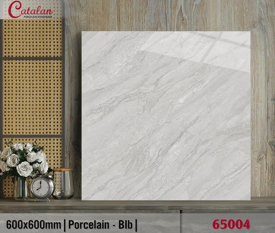 Gạch lát nền 60x60 CTL-DBK65004