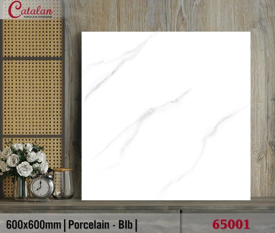 Gạch lát nền 60x60 CTL-DBK65001