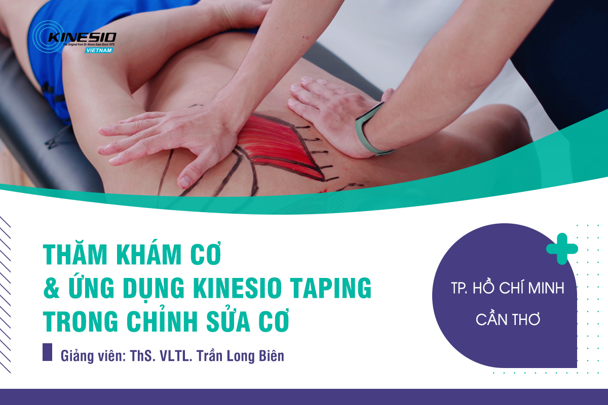 KHÓA HỌC THĂM KHÁM CƠ & ỨNG DỤNG KINESIO TAPING TRONG CHỈNH SỬA CƠ & KHỚP