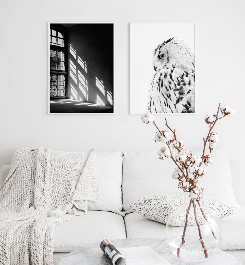 Set 2 Tranh Treo Tường Tráng gương/Canvas Trắng Đen Chim Cửa Sổ - MELYHOME
