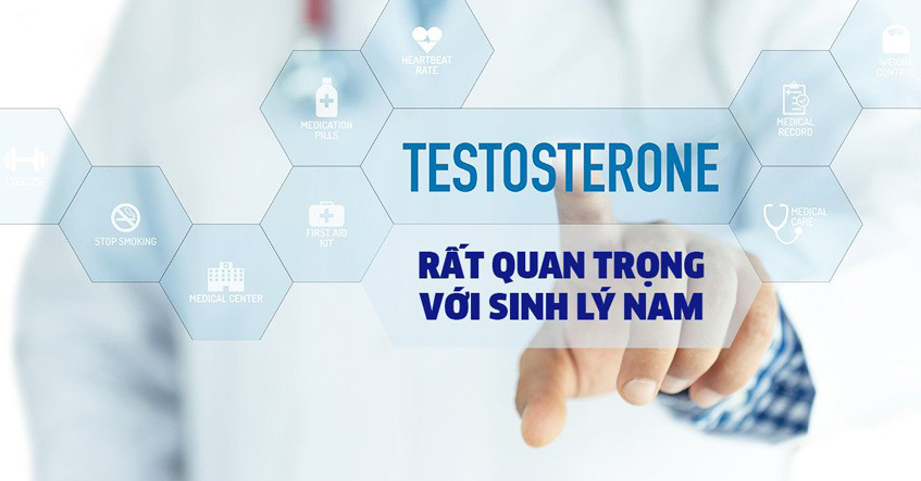 Testosterone là gì? Vai trò của Testosterone đối sức khỏe của nam giới