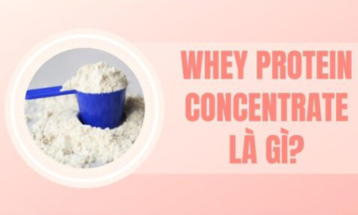 Whey protein là gì? Ưu nhược điểm của Whey Protein