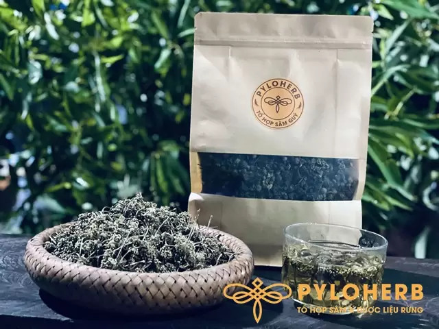 NỤ HOA TAM THẤT RỪNG