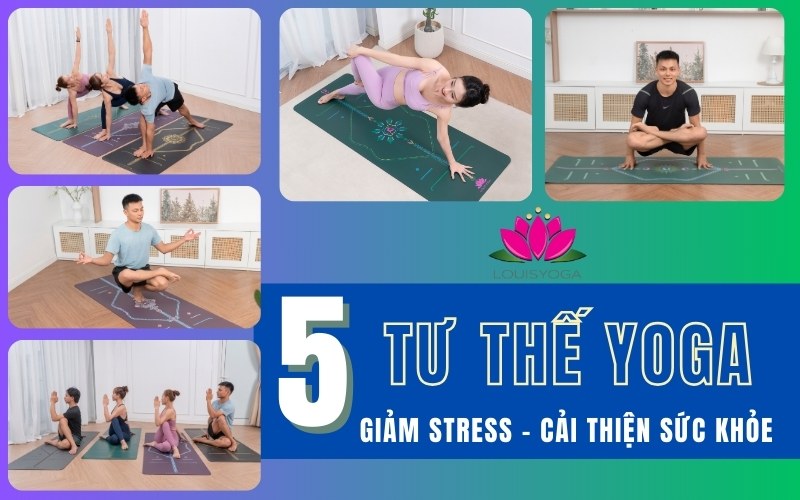 5 tư thế Yoga giúp giảm Stress và Cải thiện sức khỏe nhanh chóng