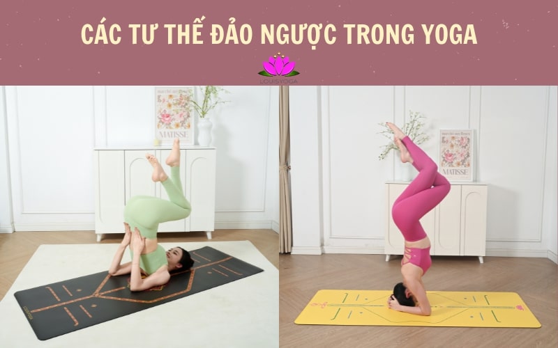 Các tư thế Yoga đảo ngược trong Yoga: Lợi ích và cách thực hiện