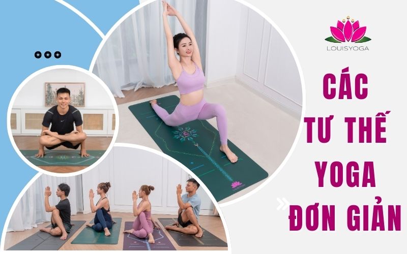 Các tư thế Yoga đơn giản và lưu ý quan trọng cho người mới bắt đầu