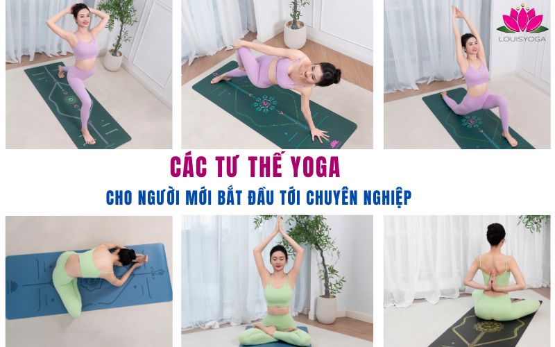 Các tư thế Yoga cho người mới bắt đầu tới chuyên nghiệp