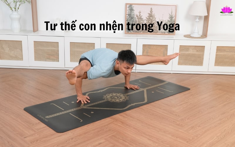 Tư thế con nhện trong Yoga: Hướng dẫn thực hiện chuẩn nhất