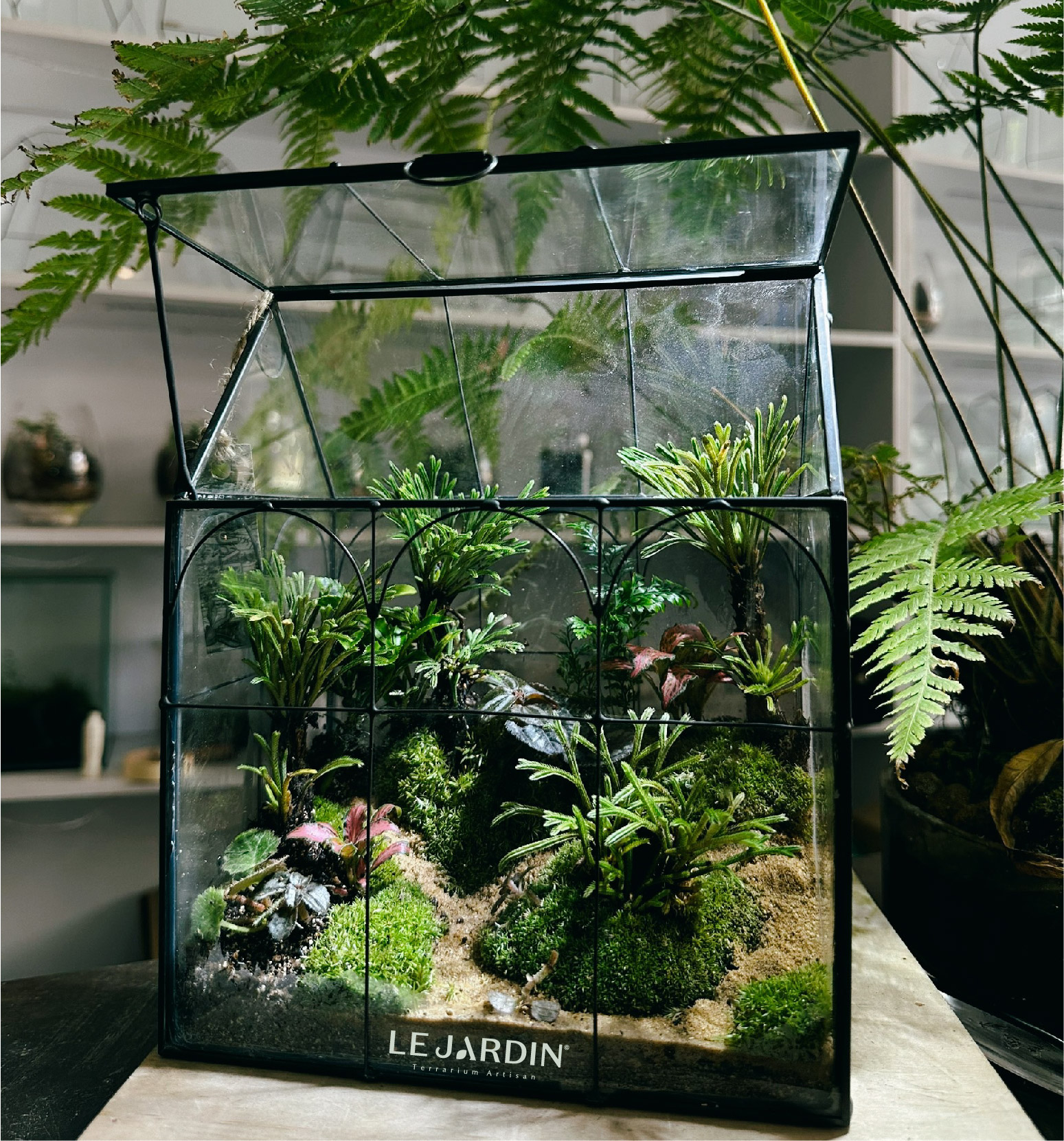 Một chiếc bể Terraiums điển hình
