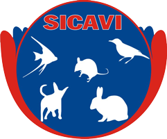 CÔNG TY TNHH SX - TM SINH CẢNH VIỆT