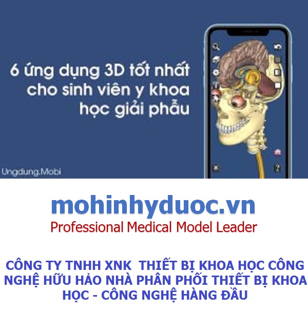 Điểm danh 6 ứng dụng giải phẩu 3D tốt nhất dành cho sinh viên y khoa