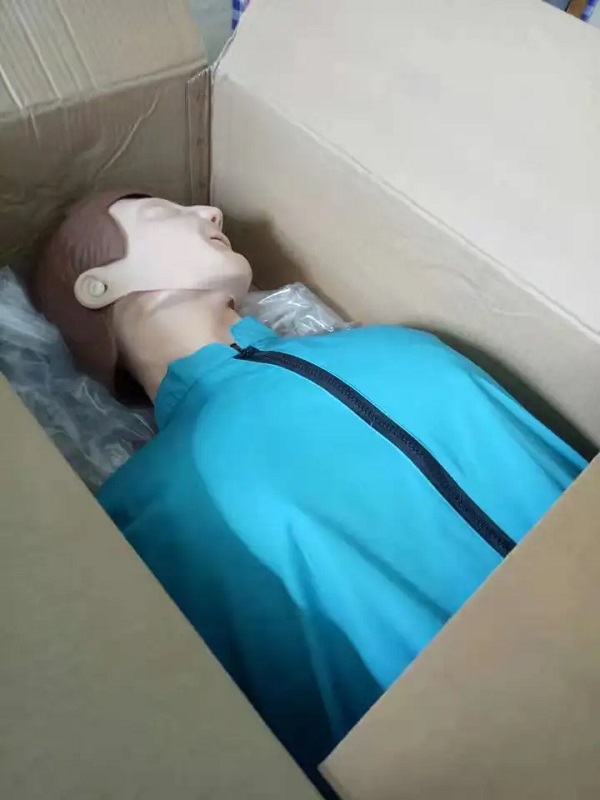 Người giả hô hấp nhân tạo loại cơ (Hình nộm bán thân, có giả giả để hô hấp nhân tạo) mô hình ép tim là sơ cấp cứu liên tục tuần hoàn