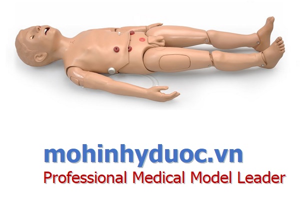 Bộ mô phỏng bệnh nhân đa năng 5 tuổi