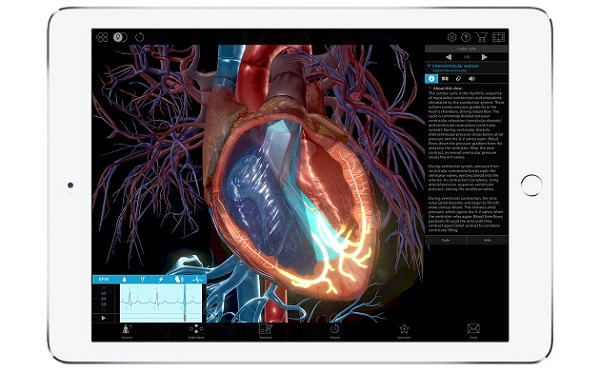physiology and pathology