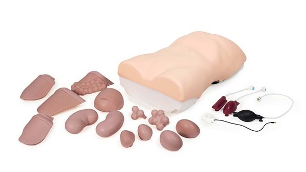 Mô hình thăm khám ổ bụng 60000 Limbs & Things