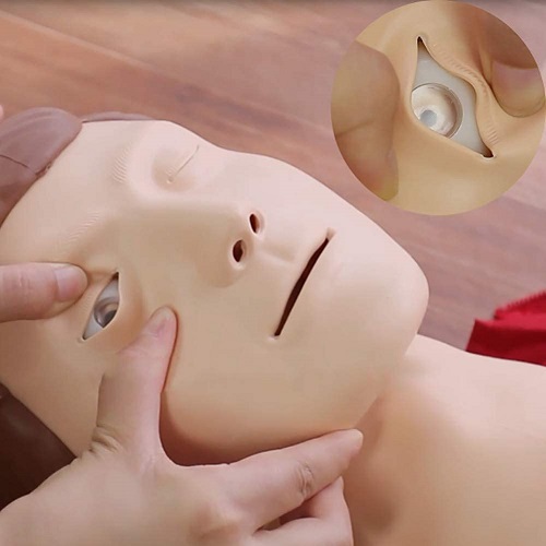 BÚP BÊ HỒI SỨC TIM PHỔI CPR - MÔ HÌNH HUẤN LUYỆN SƠ CỨU CPR VỚI BỘ ĐIỀU KHIỂN HIỂN THỊ CPR