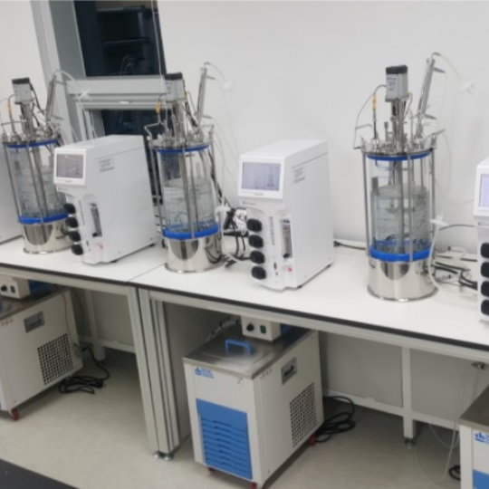 HỆ THỐNG LÊN MEN 15 LÍT BIOCANVAS LF BV15L CENTRION