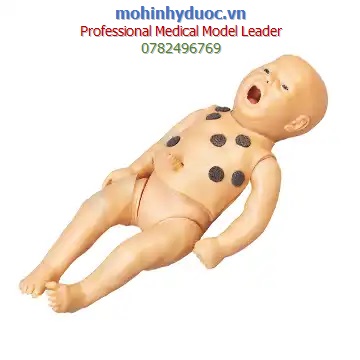 HỆ THỐNG MÔ PHỎNG ĐÀO TẠO KỸ NĂNG THỰC HÀNH SẢN KHOA GD/F56