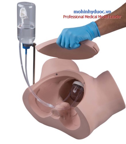 MÔ HÌNH  THỰC HÀNH ĐẶT ỐNG THÔNG NIỆU ĐẠO - THÔNG TIỂU NỮ 1020229