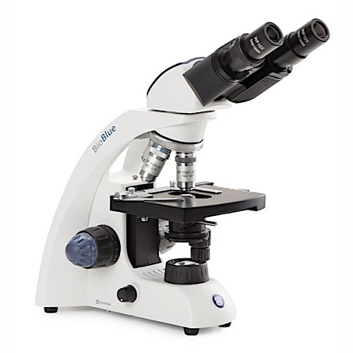 KÍNH HIỂN VI SINH HỌC EUROMEX BIOBLUE BB.4260