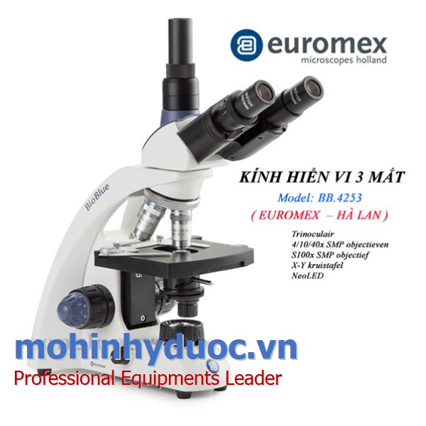 KÍNH HIỂN VI 3 MẮT BB.4253 EUROMEX- HÀ LAN