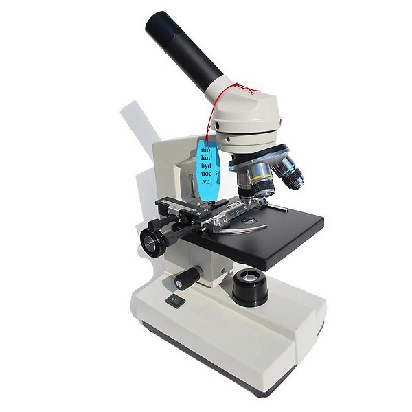 Kính Hiển Vi 1 Mắt XSP-35