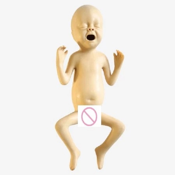 MÔ HÌNH CHĂM SÓC TRẺ SƠ SINH THIẾU THÁNG