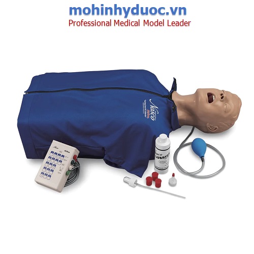 Mô hình bán thân thực hành quản lý đường thở người lớn LF03983U (CPR + hút dịch + đặt nội khí quản) 1021991