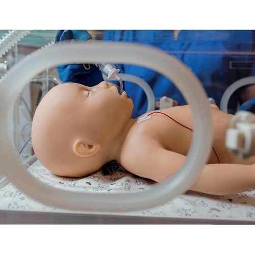 MÔ HÌNH BỆNH NHÂN TRẺ SƠ SINH MEDVISION