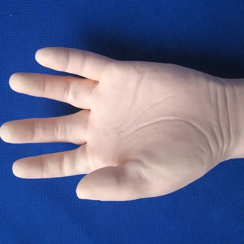 MÔ HÌNH CÁNH TAY THỰC HÀNH TIÊM TRUYỀN TĨNH MẠCH ĐA CHỨC LP/S8