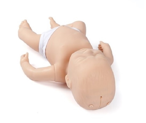 MÔ HÌNH CHĂM SÓC TRẺ SƠ SINH, NEWBORN ANNE