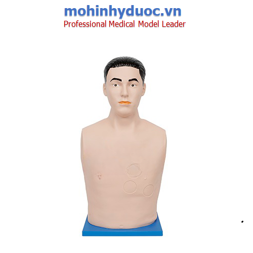 Mô hình chọc dịch màng ngoài tim và tiêm trong tim XM-BN
