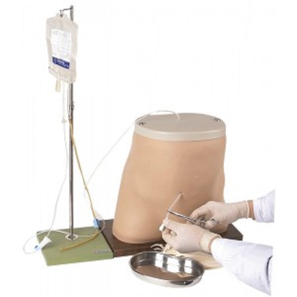 MÔ HÌNH CHỌC DÒ MÀNG BỤNG GD/L64