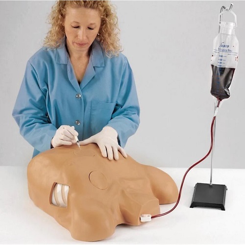 Mô hình chọc dò màng tim với ống lồng ngực và tràn khí màng phổi LF03769 Nasco Healthcare