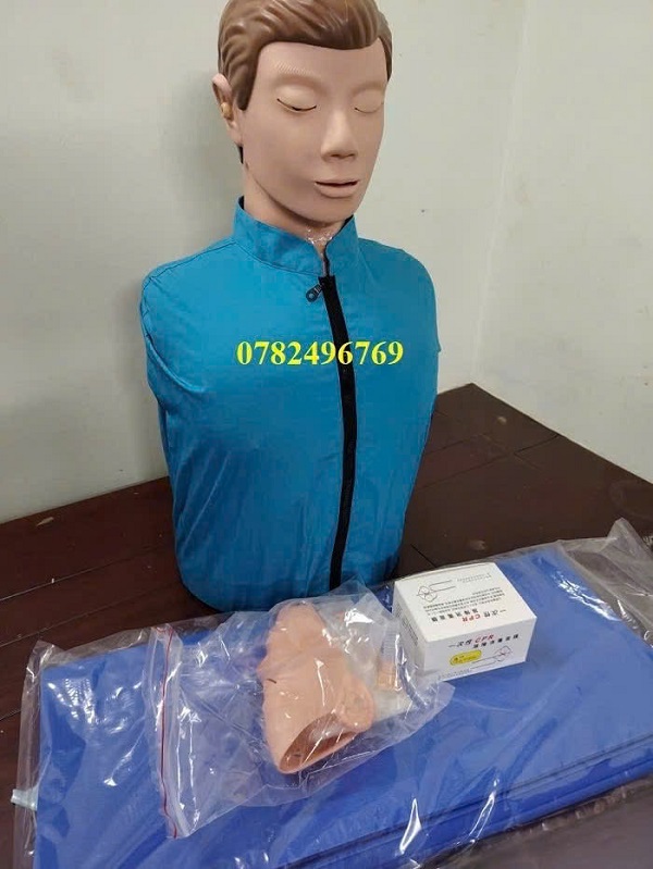 CHO THUÊ MÔ HÌNH Y KHOA – MÔ HÌNH THỰC HÀNH HỒI SỨC TIM PHỔI CPR